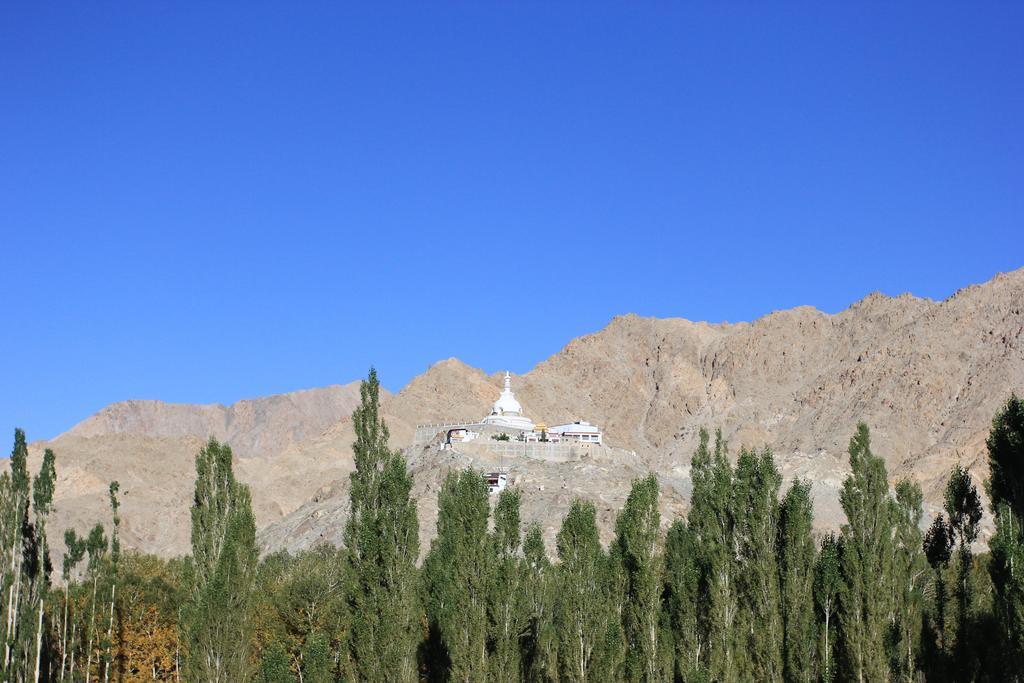 Hotel Nalanda Ladakh Leh Eksteriør billede